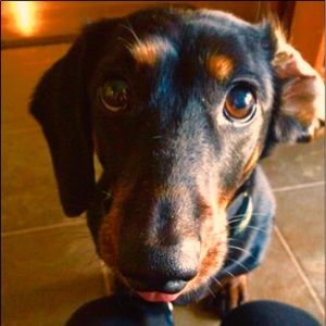 Meet your Posher, Ashlyn